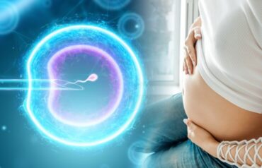 IVF-Does-Cold-Weather-Affect-Embryo-Transfer